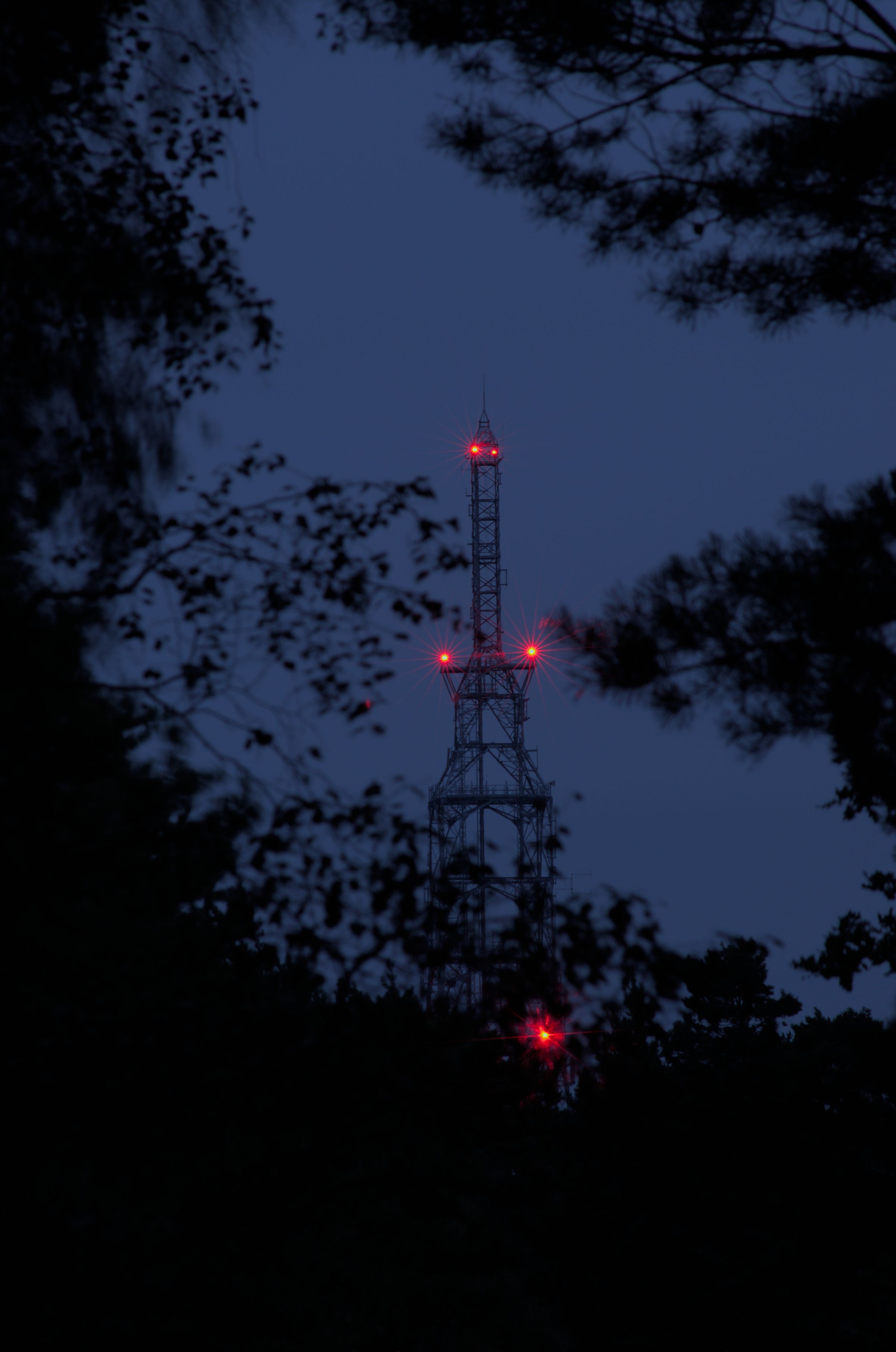 A radio mast with red lights at night, through a clearing in some trees.